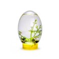 thumbnail image 1 of Mini Small Desktop Aquarium Glass Fish Tank Eco Aquarium Amibious, 1 of 8