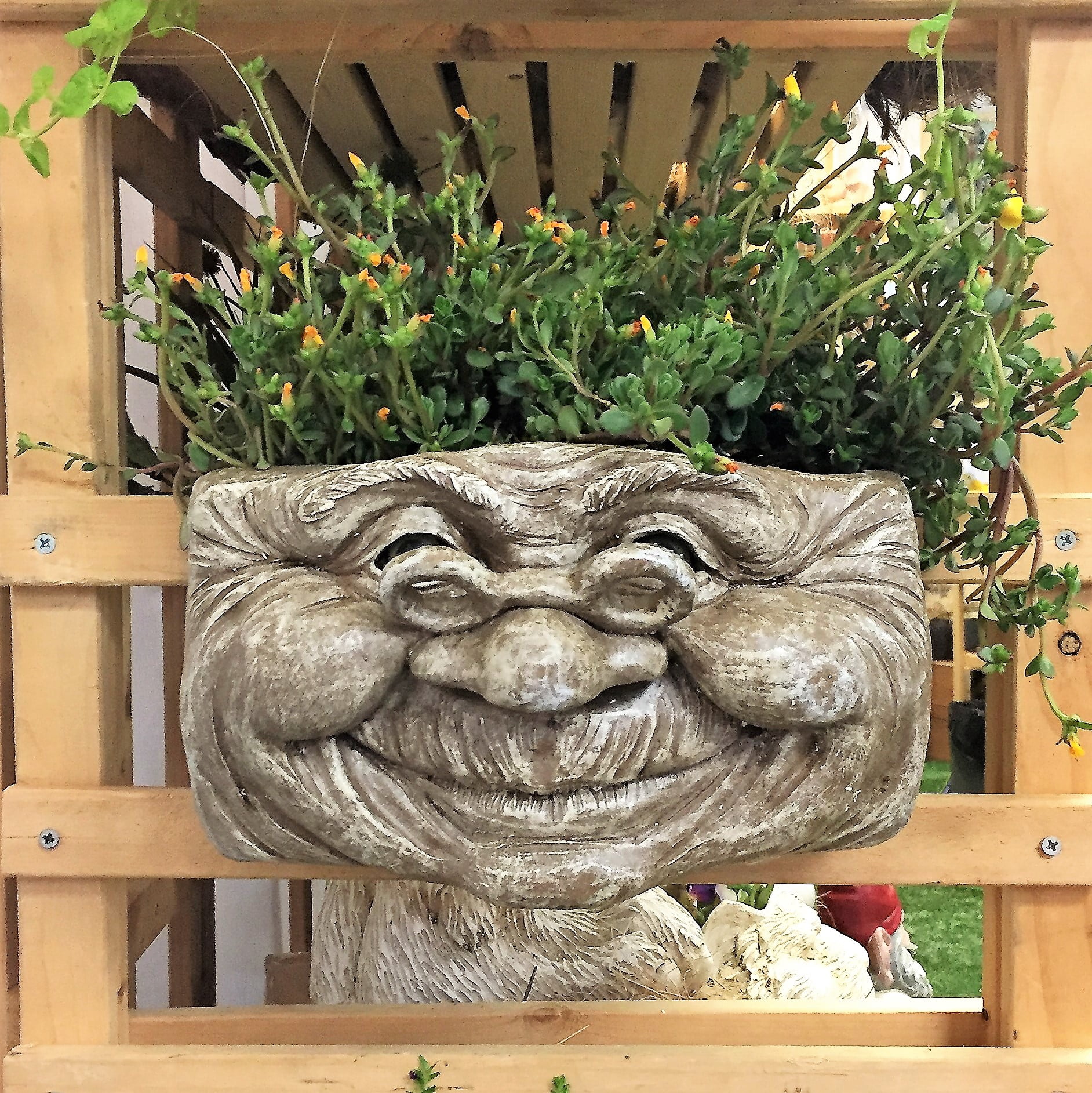 Homestyles Aunt Minnie Muggly Face Garden Statue Tree & Patio Wall Planter