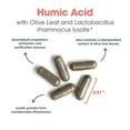 thumbnail image 5 of Allergy Research Group Humic-Monolaurin Complex - Immune System Support, Humic Acid Supplements, with Olive Leaf, Vegetarian Capsules - 120 Count, 5 of 8