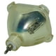 Remplacement de la Lampe de Projecteur Original Philips pour Sanyo PLC-XU38 (Ampoule Seulement) – image 5 sur 5