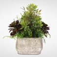 thumbnail image 4 of Jenny Silks Artificial Succulent Arrangement in a Stone Pot - Green, 4 of 4