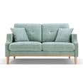 thumbnail image 3 of Loveseat With Waterproof Fabric, 2 Seater Sofa with USB Charge Port, 2 Pillows, Wood Legs for Primary Living Space, Bed Room, Office, Baby Blue, 3 of 7