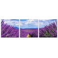 thumbnail image 2 of wall26 3 Panel Canvas Wall Art Romantic Lavender Pictures Home Wall Decorations for Bedroom Living Room Paintings Canvas Prints Framed - 16"x16"x3 Panels, 2 of 4