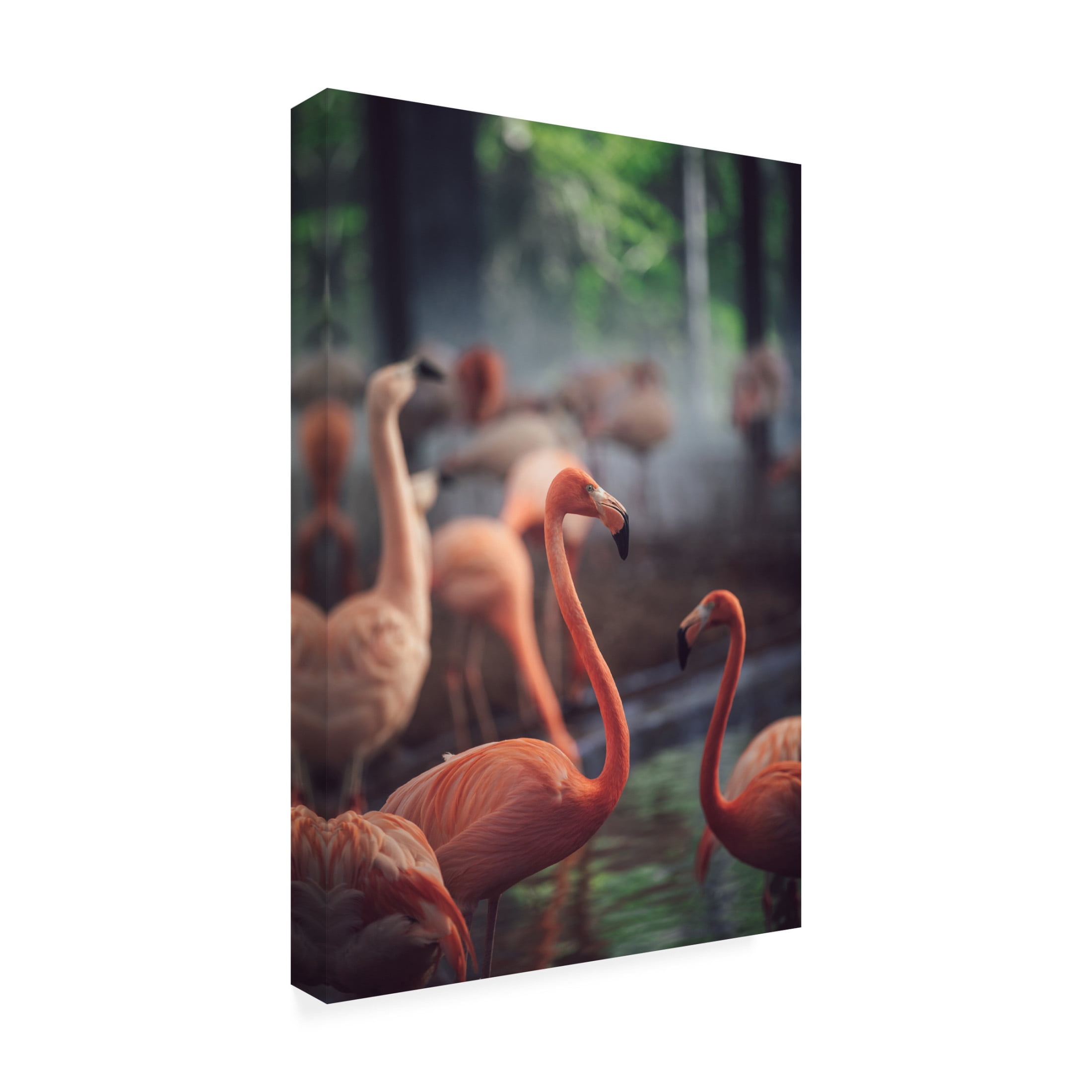 Trademark Fine Art Dayvee Flamingo Canvas Wall Art
