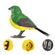 thumbnail image 5 of Robot Bird Electronic Bird Toy Juguete de Desarrollo Movimientos Realistas Figura de Juguete para Niños Y Niñas Verde, 5 of 10