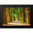 thumbnail image 2 of Bolokofsky, Ronald 24x17 Black Modern Framed Museum Art Print Titled - Shady Tree Lane III, 2 of 5