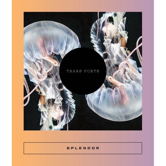 Calico Splendor: Trans Poets, Book 14, (Paperback)