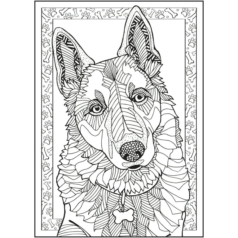  Timeless Creations Coloring Book: An Adult Coloring Book  Featuring Beautiful Forest Animals, Birds, Plants and Wildlife For Stress  Relief and Relaxation: 9798774853748: Katty, Marry: Books