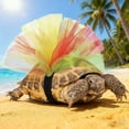 thumbnail image 3 of Elegant Reptile Photo Apparel Dress with Delicate Lace Frills for Turtle Pet Accessory, 3 of 6