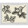 thumbnail image 1 of Apothecary Tapestry, Hand Drawn Rosa Canina Leaves Herbs Vintage Botany Plants Gardening Sketch, Wall Hanging for Bedroom Living Room Dorm Decor, 80W X 60L Inches, Eggshell Black, by Ambesonne, 1 of 2