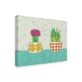 thumbnail image 2 of Trademark Fine Art 'Succulent Duo II' Canvas Art by Chariklia Zarris, 2 of 4