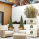 thumbnail image 4 of 3/4/5ft artificial cedar tree-home decor fake cypress potted imitation evergreen plants para indoor y outdoor front porch garden (4ft 1pcs), 4 of 5