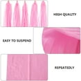thumbnail image 4 of unbranded 30Ud Papel Tassels Rosa Para De Fiesta Garland Para Boda Y Celebración, 4 of 7