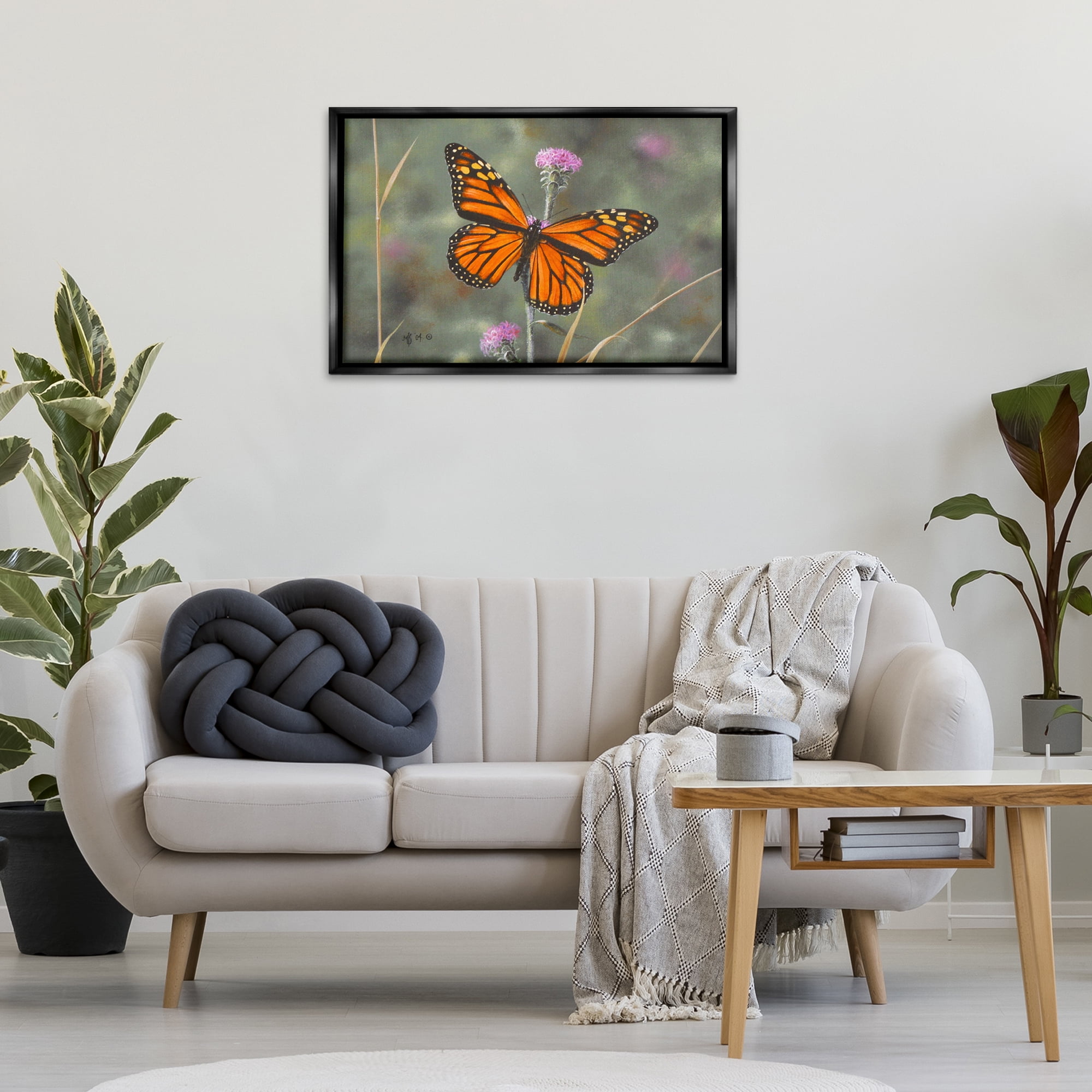 Stupell Industries Summer Visitor Butterfly Animals Photography Black Floater Framed Canvas Art Print Wall Art, 31 x 21