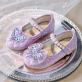 thumbnail image 2 of NOLDARES Girls Dress Shoes Toddler Mary Janes Shoes Little Girl School Uniform Oxford Shoes for Girl Flats(Purple,10), 2 of 9