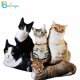 thumbnail image 2 of 50cm Lindo Gato Realista 3D Juguetes de Peluche Muñeco de Peluche Suave Muñeco de Simulación Almohada para Dormir Sofá Cojín Muñeco de Dibujos Animados Decoración para el Hogar Regalo, 2 of 5
