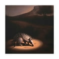 thumbnail image 1 of Armadillo in Landscape - Canvas, 1 of 10