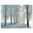 thumbnail image 1 of Designart Winter Trees Backlit by Morning Sun Canvas Wall Art, 1 of 4
