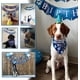 thumbnail image 2 of Bandana de cumpleaños para perros, sombrero de cumpleaños para perros, bufandas, globo de bandera con lindos suministros para fiestas de cumpleaños para perros, decoraciones (juego de 11 pie, 2 of 5