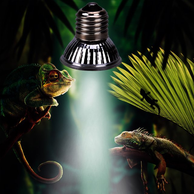 Lámpara calefactora para reptiles 25/50/75W Caja UVA+UVB 3.0 Aleación Productos para mascotas (75w)