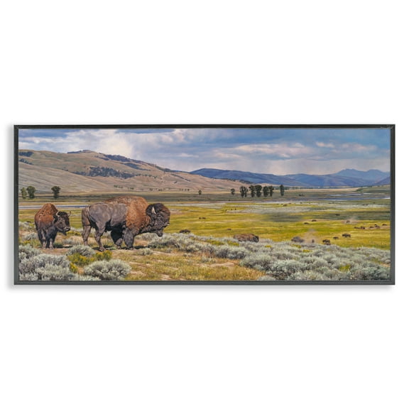 Stupell Industries Roaming Southwestern Bison Landscape Painting Black Framed Art Print Wall Art, 24 x 10