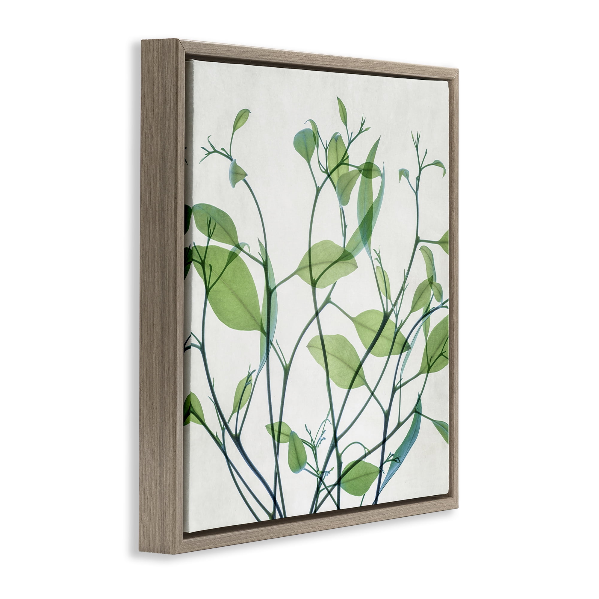 Stupell Industries Twisting Green Vines Botanical & Floral Painting Brown Floater Framed Art Print Wall Art, 25 x 25