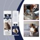 thumbnail image 5 of RKSTN Furnitures Spray Pet Anti-Chew Training Spray 50ml, 5 of 9