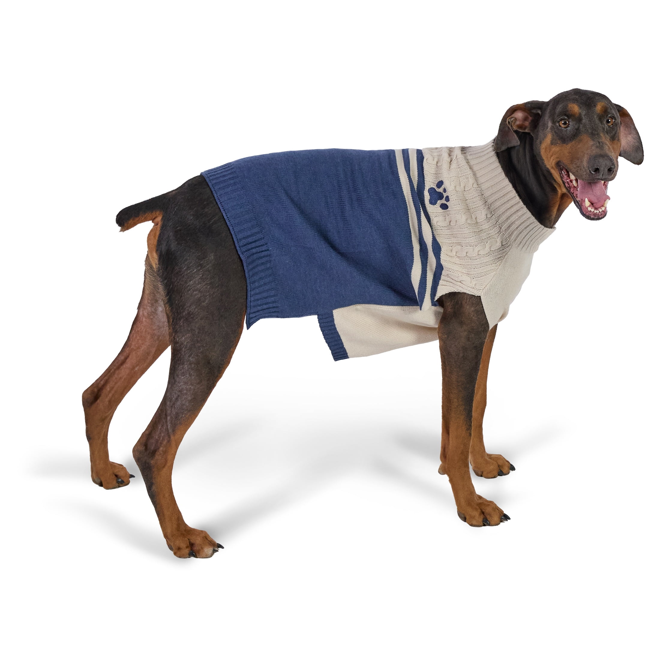 Vibrant Life Paw Dog Sweater, Cream & Navy, XL, Among Other English Mastiff, Great Dane