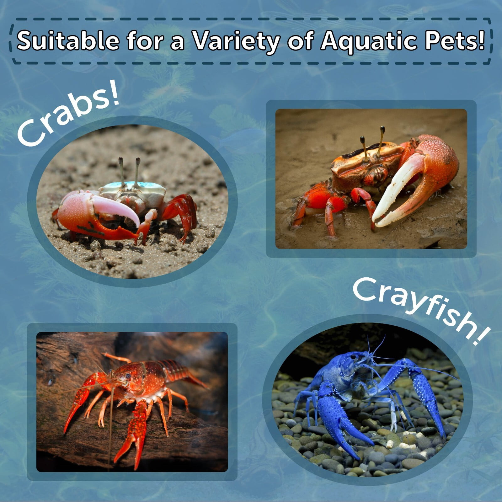 Crab & Crayfish, 4mm-3/16" Sinking 40% Protein Nuggets With Calcium Feeders for Crabs & Crayfish, Snails, Shrimp, All Tropical Fish 4-lbs 12oz Jar