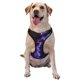 thumbnail image 1 of Fotbe Purple And Blue Nebula Arnés para Perro con Estampado –Chaleco Ajustable Acolchado con Asa de Control para Perros Grandes-Large, 1 of 6