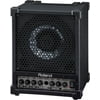 Roland CM 30 Monitor Speaker 2023 - Polished