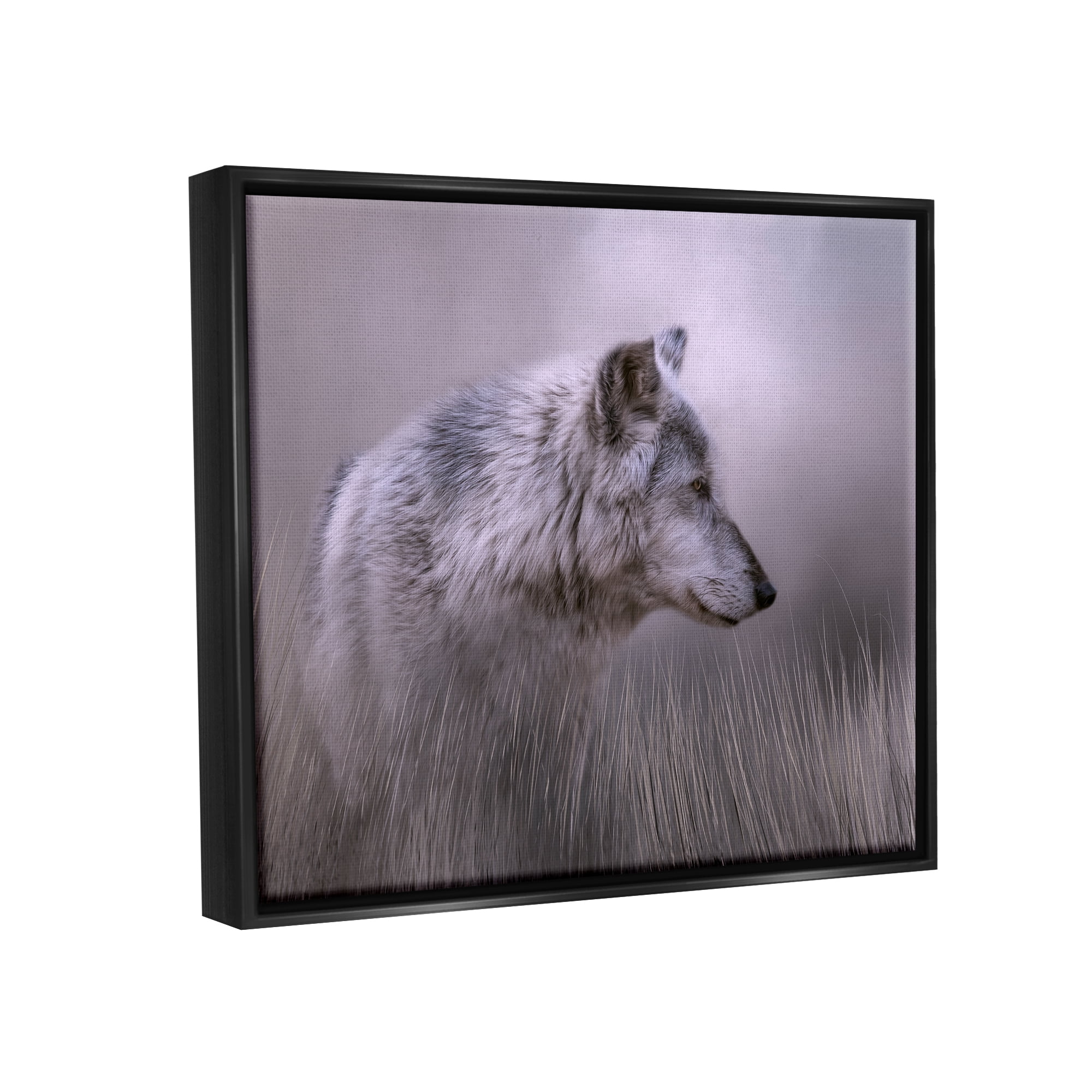 Stupell Grey Wolf Wildlife Photography Animals & Insects Photography Black Floater Framed Art Print Wall Art