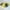 Yellow, variant on TAIAOJING Ballet Tulle Rainbow Tutu Skirt for Little Girls Toddler Kids Baby Dancing Princess Skirt Color Block Tulle Ballet Tutu Outfits 2-8 Years