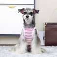 thumbnail image 6 of Shenmeida Dog Shirt Skirt Striped Lace Edge T Shirts Cotton Vest Pleated Dress Puppy Clothes Summer Shirts Cute Tops Soft Pet Apparel for Small Medium Dogs Cats Outfits Costume, 6 of 7