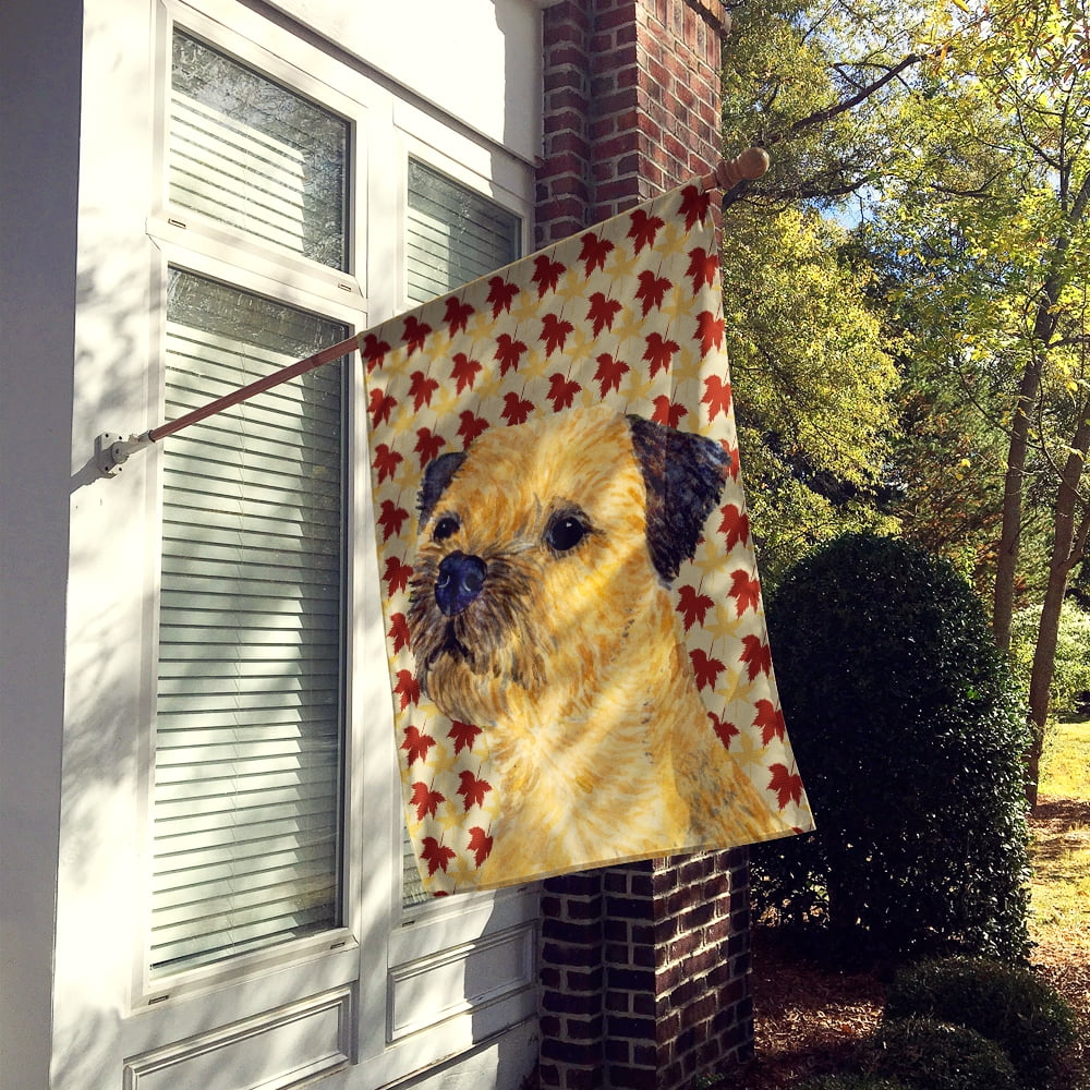 Carolines Treasures LH9098-FLAG-PARENT Border Terrier Fall Leaves Portrait Flag  multicolor