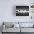 thumbnail image 2 of Wieteke De Kogel 'Opposites' Canvas Art, 2 of 4