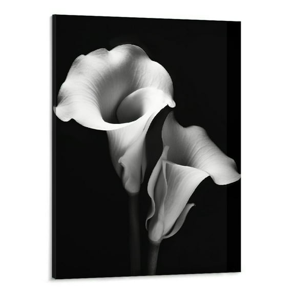 Creowell  Tulip Lily Floral Wall Art Black and White Flower Wall Decor Tulip Wall Art Calla Lily Oil Paintings Botanical Prints for bedroom 16x20 Inch