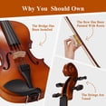 thumbnail image 3 of Kit de violín PHOENIX 4/4 de tamaño completo para principiantes con accesorios, 3 of 7