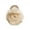 Beige, variant on Delicate Camellia Patterned Hairpin Plastic Mesh Hair Clip For Styling