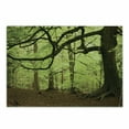 thumbnail image 1 of Woodland Cutting Board, English Woodland Scene with Sun Rays Though the Trees Mother Nature Theme, Decorative Tempered Glass Cutting and Serving Board, Small Size, Green Brown, by Ambesonne, 1 of 1
