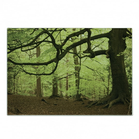 Woodland Cutting Board, English Woodland Scene with Sun Rays Though the Trees Mother Nature Theme, Decorative Tempered Glass Cutting and Serving Board, Small Size, Green Brown, by Ambesonne