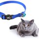 thumbnail image 3 of Collar Reflectante Greeniant para Mascotas Gatos y Perros Pequeños Azul, 3 of 6