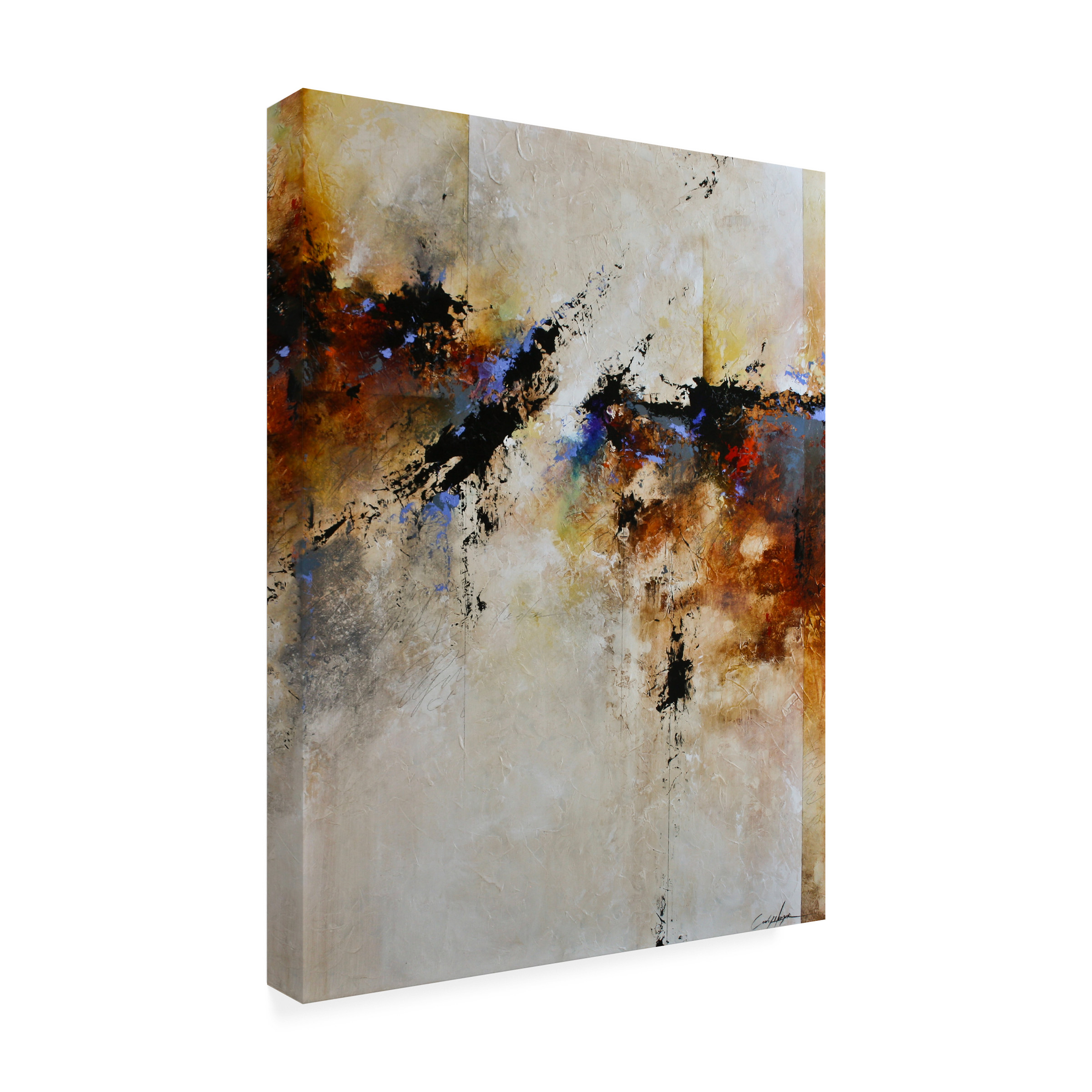 CH Studios 'Fallen Light' Canvas Art