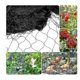 thumbnail image 1 of Red de protección para estanques de malla fina de 5 x 10 m (color negro). Red de protección para aves, hojas y cobertura de estanques., 1 of 4