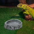 thumbnail image 3 of Gymnture Reptile Water Dish Resin Reptile Food Holder Reptile Feeding Terrarium Bowl Tortoise Feeding Basin, 3 of 8