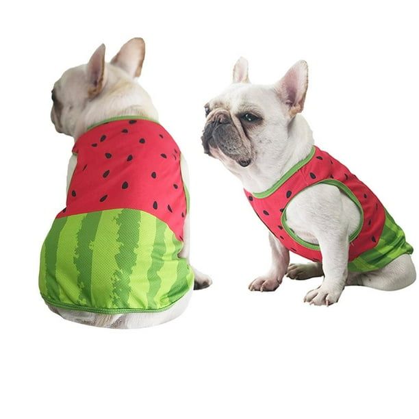 Pet Cool T-Shirt Dog Cooling Vest Ropa Para Perros Para Primavera Y Verano Cateissary PT002539-01