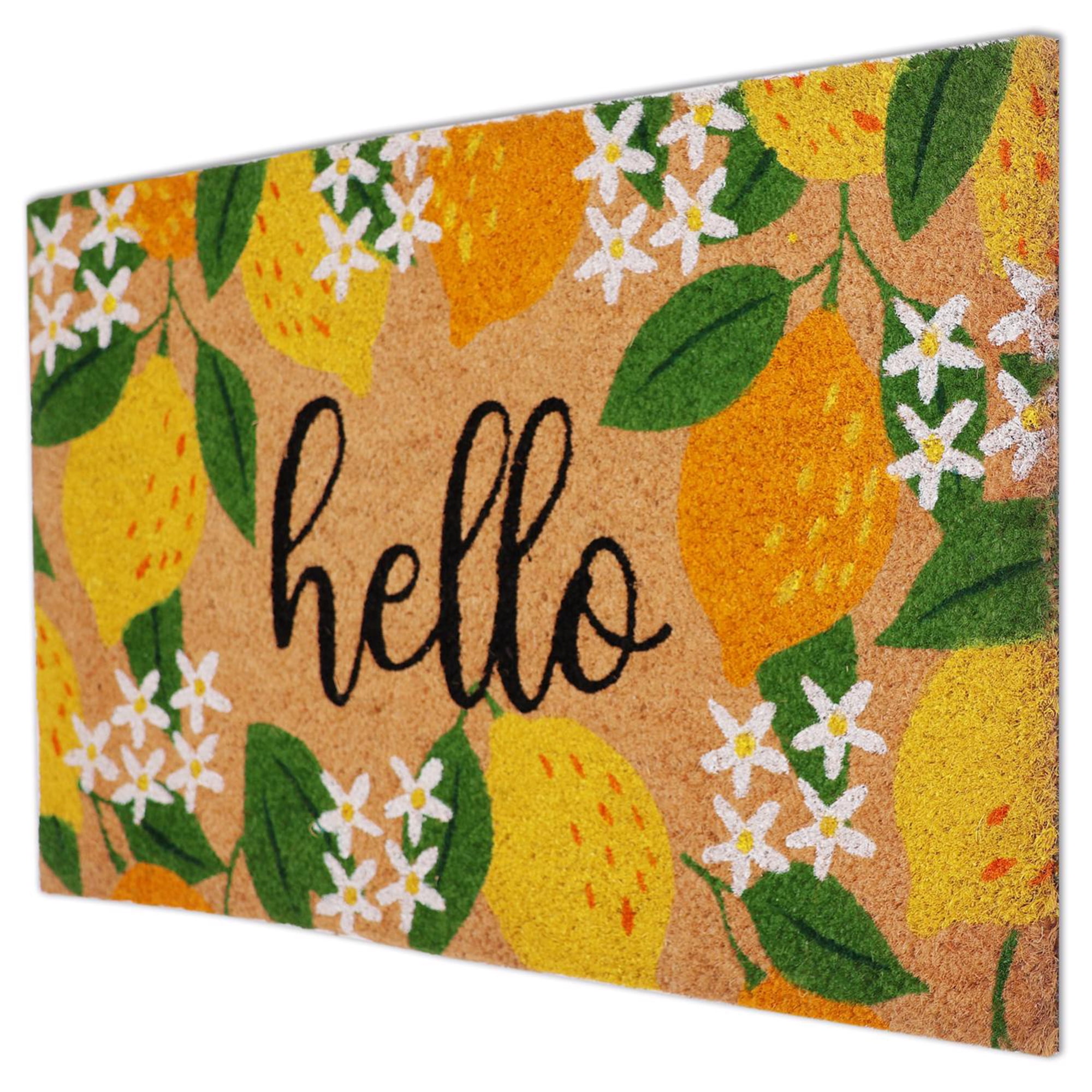 First Concept 18 in. W X 30 in. L Multi-Color Coir Door Mat