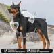 thumbnail image 5 of Táctico Pechera Arnés De Seguridad Perro Mediano Y Grande542, 5 of 8