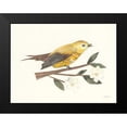 thumbnail image 2 of Prahl, Courtney 24x19 Black Modern Framed Museum Art Print Titled - Birds and Blossoms I, 2 of 5