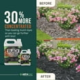 PetraTools Black Mulch Dye Superior Color & LongLasting Tech, 1